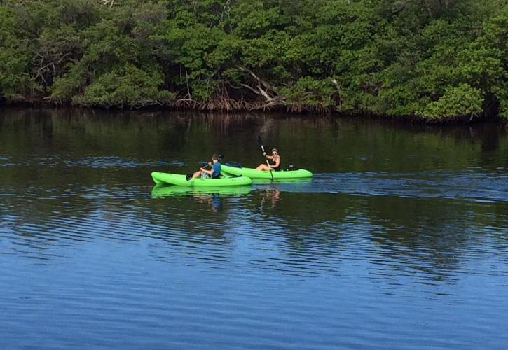 Kayak Tour at John D. MacArthur Beach State Park